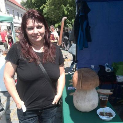 416-13239246_1196617640382529_8131708125380599320_n