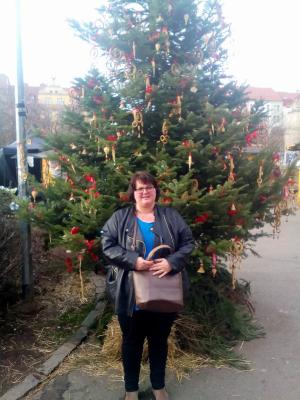 442-IMG_20161209_112653