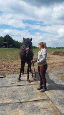 646-10687040_10207641755944544_1353505404505606240_n