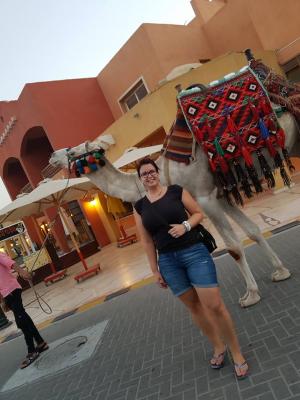 848-20476250_10213362189439577_533764260426919791_n