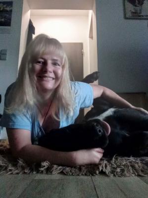 895-inbound4605247783873015623